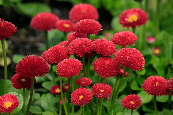 Sécuriser sa maison avec piscine : quelles obligations légales ?